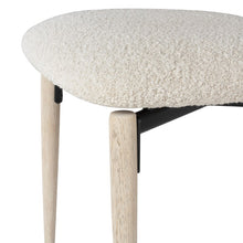 Load image into Gallery viewer, Vicuna Dining Chair