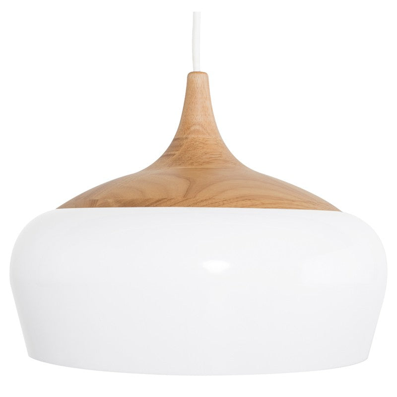 Liam Pendant (14″ X 14″ X 10″)