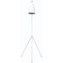 Load image into Gallery viewer, Lucille Floor Light