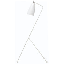 Load image into Gallery viewer, Lucille Floor Light