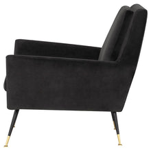 Load image into Gallery viewer, Vanessa Occasional Chair