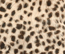 Load image into Gallery viewer, Leopard Print Goatskin 20&quot; Pillow