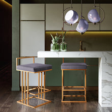 Load image into Gallery viewer, Trevi Counter Stool