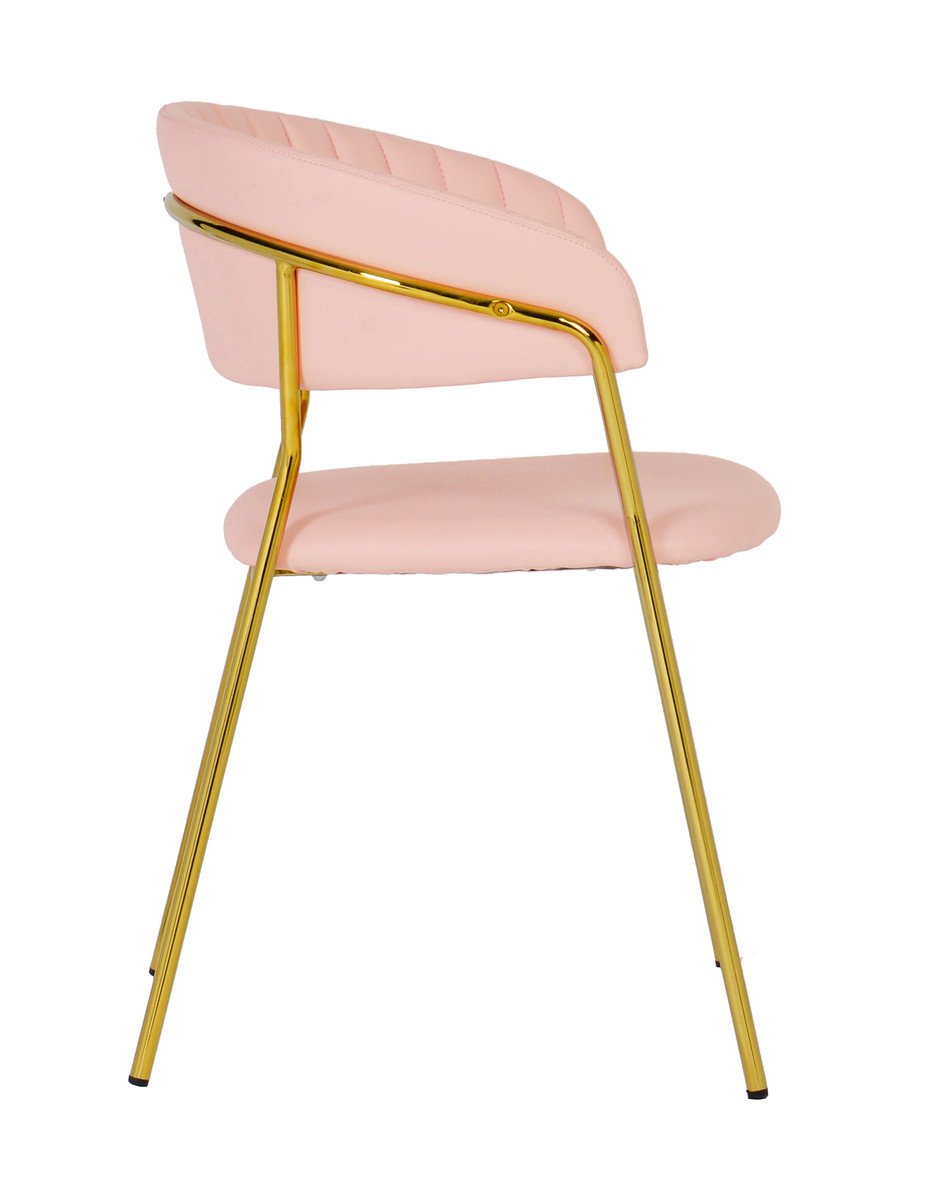 Padma Velvet Chair (Set of 2)
