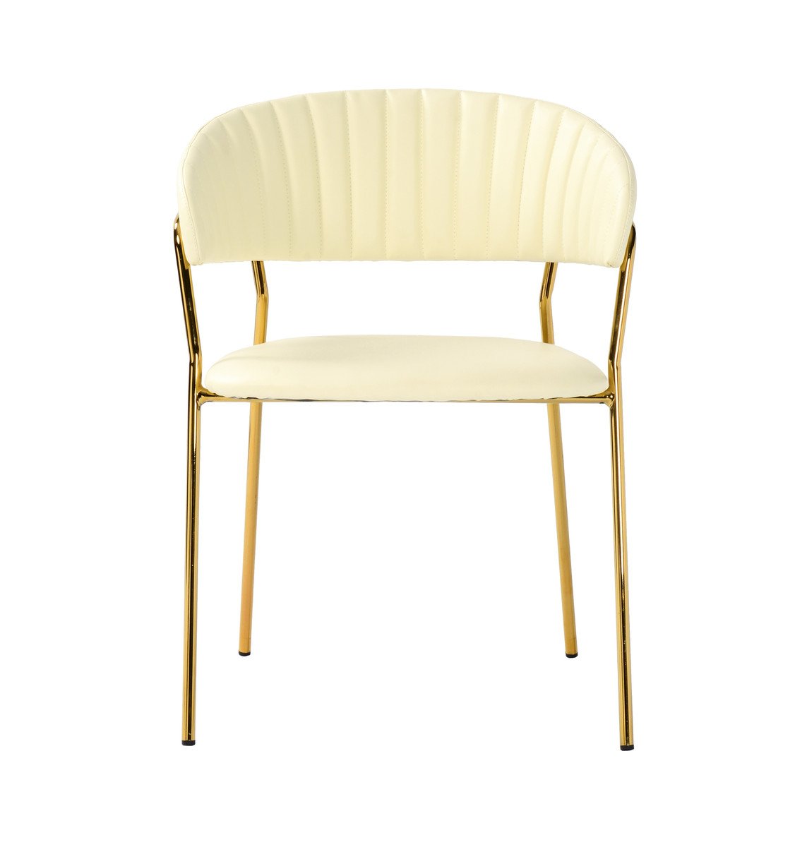 Padma Velvet Chair (Set of 2)