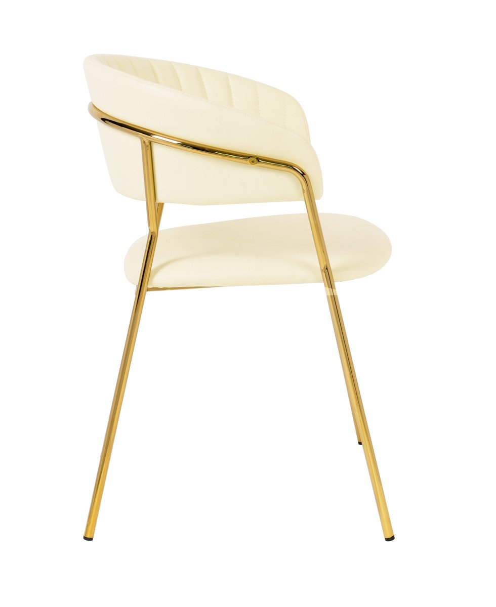 Padma Velvet Chair (Set of 2)