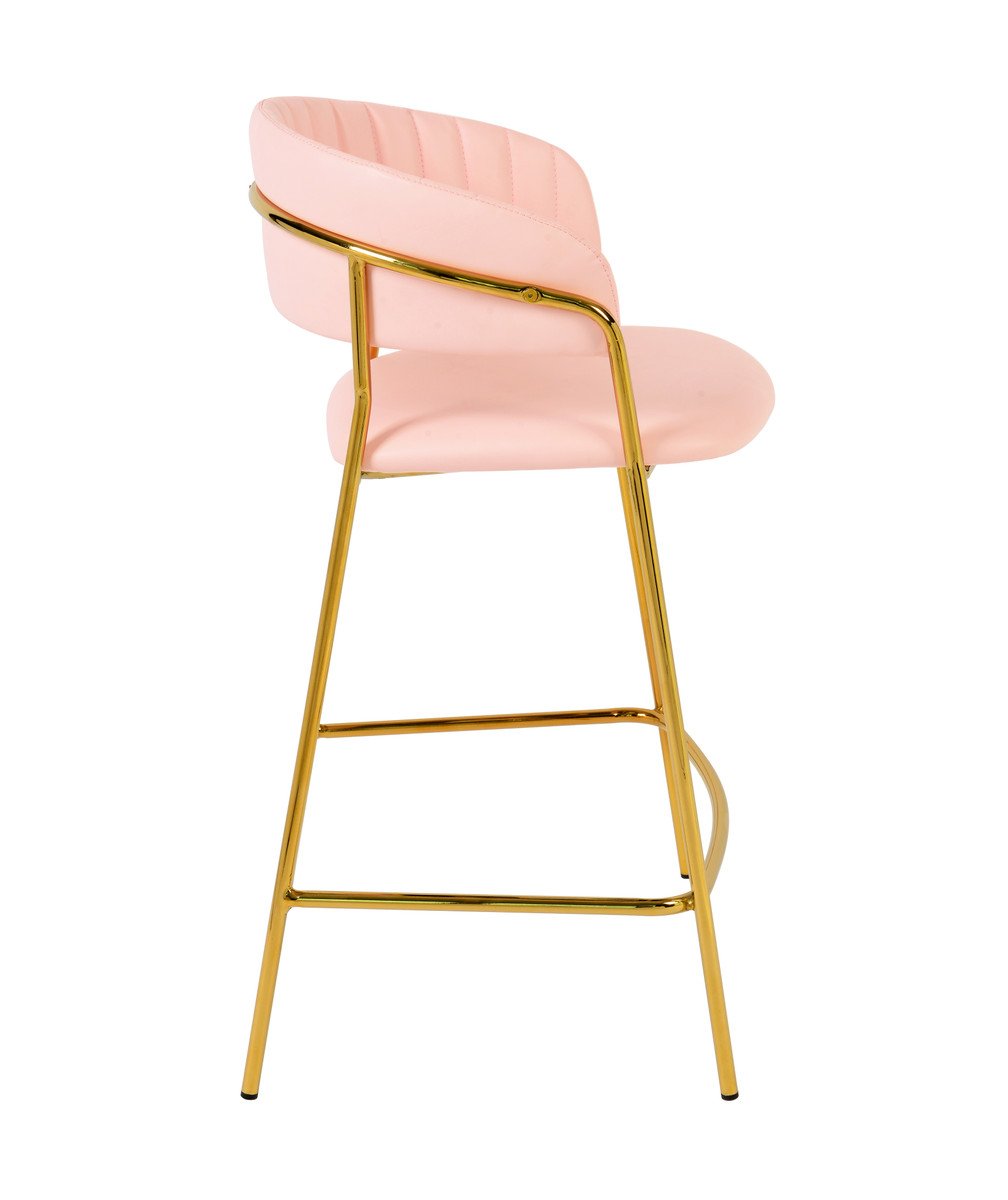 Padma Velvet/Vegan Leather Counter Stool (Set of 2)