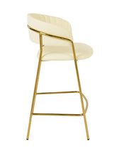 Load image into Gallery viewer, Padma Velvet/Vegan Leather Counter Stool (Set of 2)