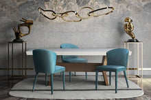 Load image into Gallery viewer, Metropolitan Velvet Chair