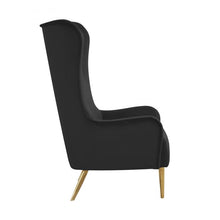 Load image into Gallery viewer, Ethan Velvet Tall Chair